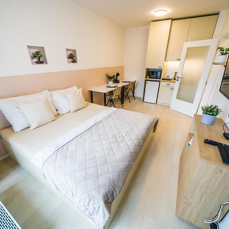 Street Apartments Brno Center Dış mekan fotoğraf